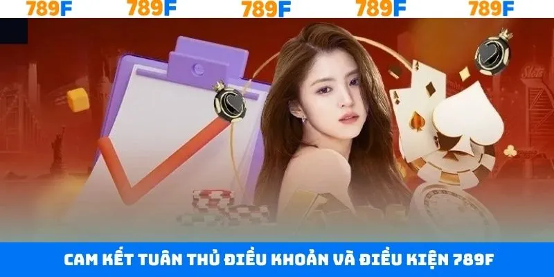 Cam kết hoạt động trong khuôn khổ pháp lý cho phép