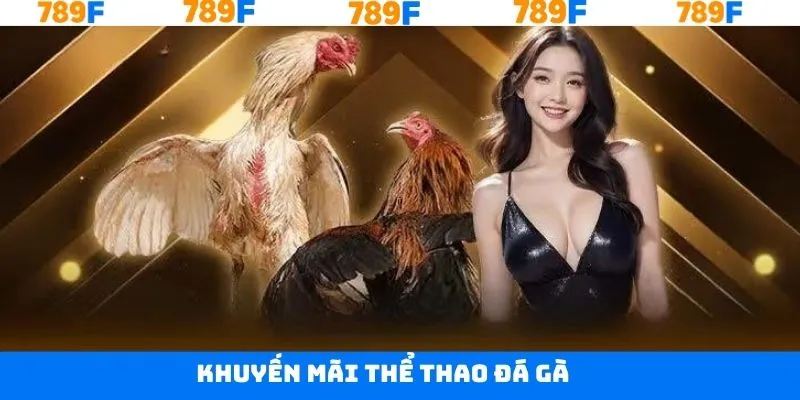Khuyến Mãi Thể Thao Đá Gà - Cơ Hội Nhận Thưởng Tại 789F 4 Khuyến Mãi Thể Thao Đá Gà - Cơ Hội Nhận Thưởng Tại 789F