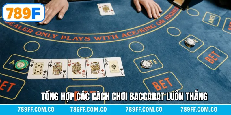 Các chiến thuật tham gia baccarat luôn thắng 