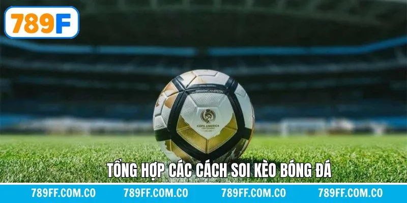 Tổng hợp các hình thức soi kèo bóng đá ưa chuộng nhất Tổng hợp các hình thức soi kèo bóng đá ưa chuộng nhất