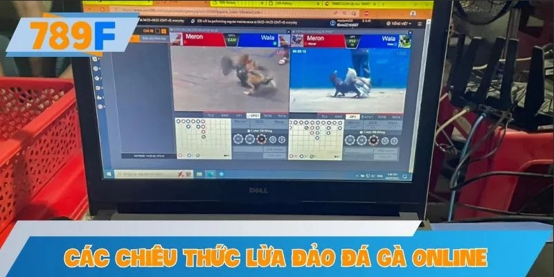 Các chiêu thức lừa đảo đá gà online phổ biến nhất