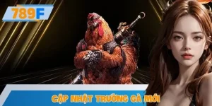 Cập Nhật Trường Gà Mới 789F – Chất Lượng Full HD, Tốc Độ Cao
