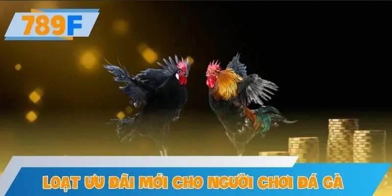 Loạt ưu đãi mới dành riêng cho người chơi đá gà