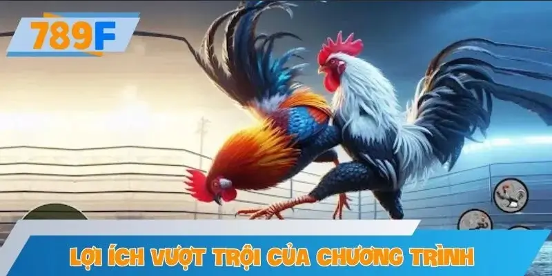 Lợi ích vượt trội của chương trình khuyến mại