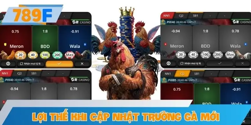 Lợi thế nổi bật khi cập nhật trường gà mới