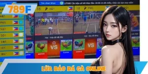 Lừa Đảo Đá Gà Online Mạo Danh 789F – Người Chơi Cảnh Giác