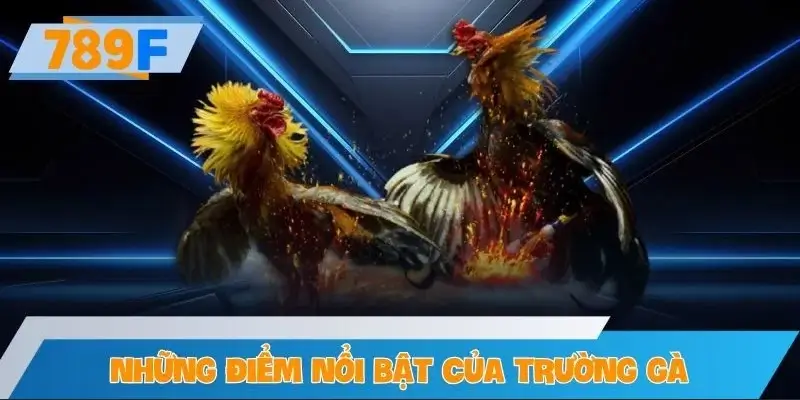 Những điểm nổi bật của trường gà trong mùa giải 2025 Những điểm nổi bật của trường gà trong mùa giải 2025