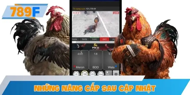 Những nâng cấp sau chương trình cập nhật trường gà mới