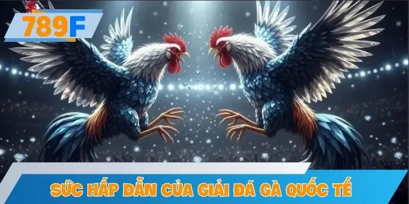 Sức hấp dẫn của giải đá gà quốc tế mùa giải 2025 Sức hấp dẫn của giải đá gà quốc tế mùa giải 2025