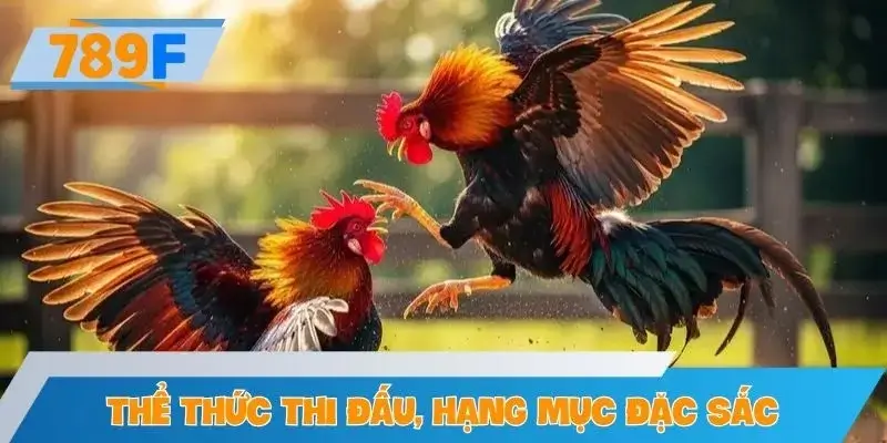 Thể thức thi đấu và các hạng mục đặc sắc tại giải đá gà Thể thức thi đấu và các hạng mục đặc sắc tại giải đá gà
