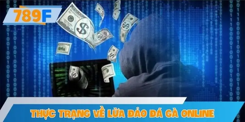 Thực trạng đáng báo động về lừa đảo đá gà online