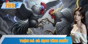 Trận Đá Gà Kịch Tính Nhất – Tổng Hợp Trận Gà Đỉnh Cao Ở 789F