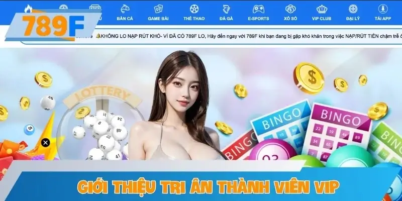 Tri ân thành viên VIP - Càng gắn bó càng nhiều ưu đãi Tri ân thành viên VIP - Càng gắn bó càng nhiều ưu đãi