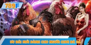 Ưu Đãi Mới Dành Riêng Cho Người Chơi Đá Gà – Hoàn Trả Ở 789F