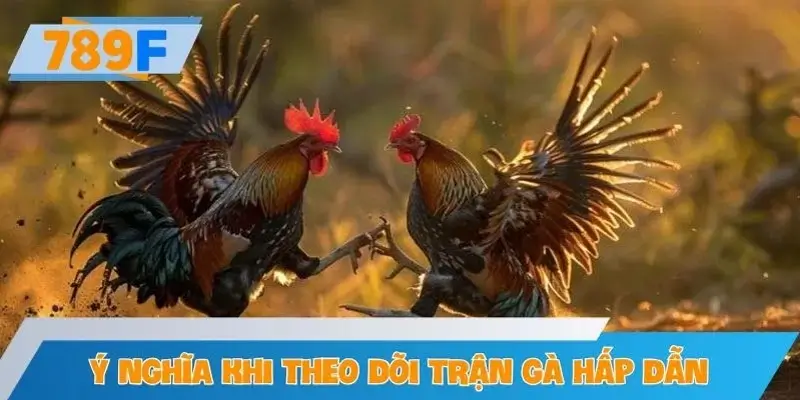 Ý nghĩa của việc theo dõi top trận đá gà kịch tính nhất